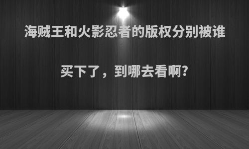海贼王和火影忍者的版权分别被谁买下了，到哪去看啊?