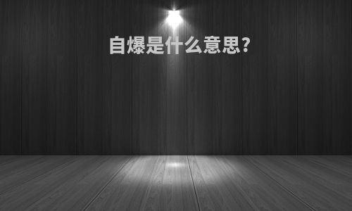 自爆是什么意思?