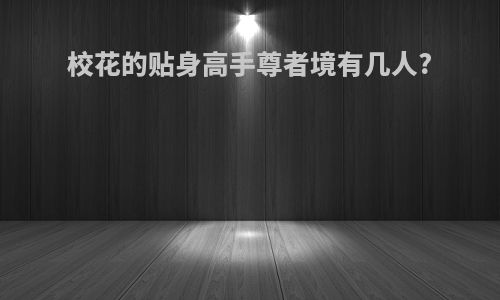 校花的贴身高手尊者境有几人?