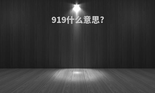 919什么意思?