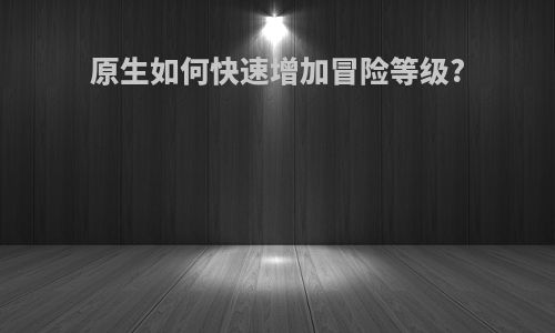 原生如何快速增加冒险等级?
