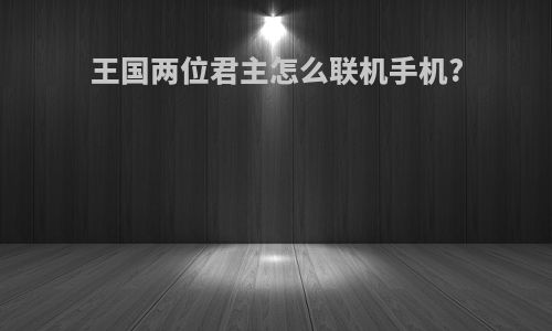 王国两位君主怎么联机手机?