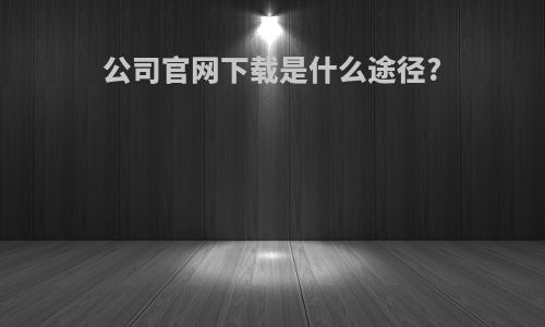 公司官网下载是什么途径?