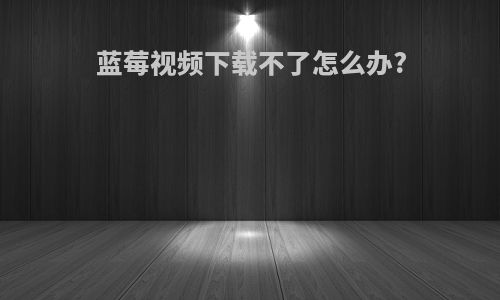 蓝莓视频下载不了怎么办?