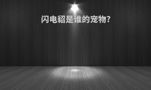 闪电貂是谁的宠物?
