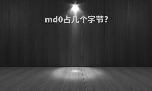 md0占几个字节?
