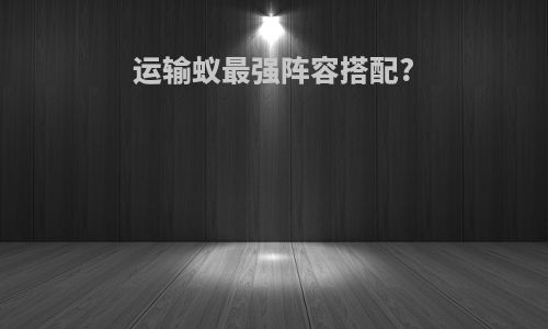 运输蚁最强阵容搭配?