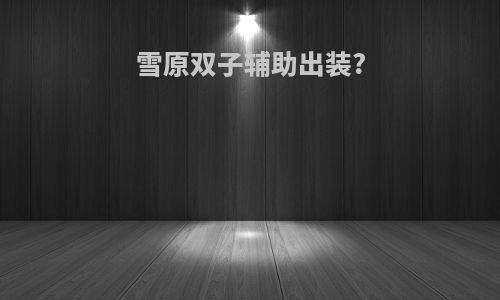 雪原双子辅助出装?