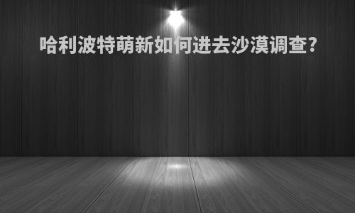 哈利波特萌新如何进去沙漠调查?