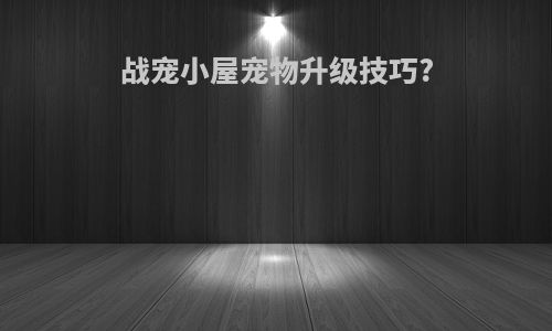 战宠小屋宠物升级技巧?