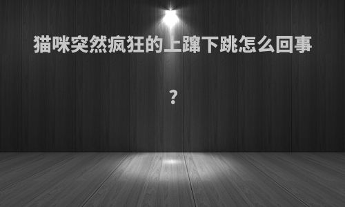 猫咪突然疯狂的上蹿下跳怎么回事?