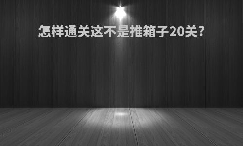 怎样通关这不是推箱子20关?