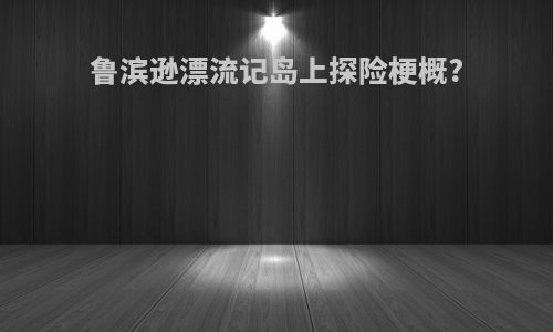 鲁滨逊漂流记岛上探险梗概?