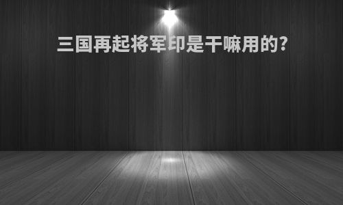 三国再起将军印是干嘛用的?