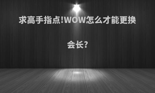 求高手指点!WOW怎么才能更换会长?