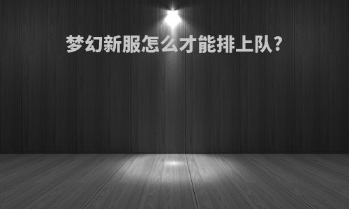 梦幻新服怎么才能排上队?