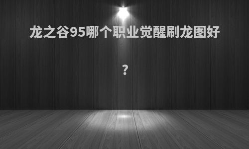 龙之谷95哪个职业觉醒刷龙图好?