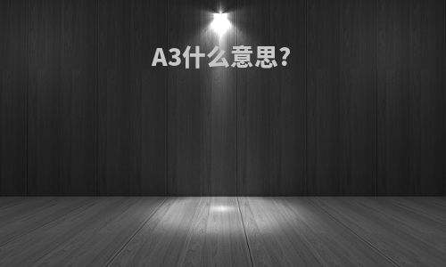 A3什么意思?