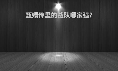 甄嬛传里的战队哪家强?