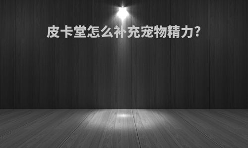 皮卡堂怎么补充宠物精力?