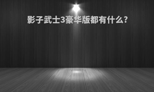 影子武士3豪华版都有什么?