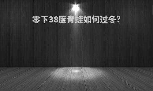 零下38度青蛙如何过冬?