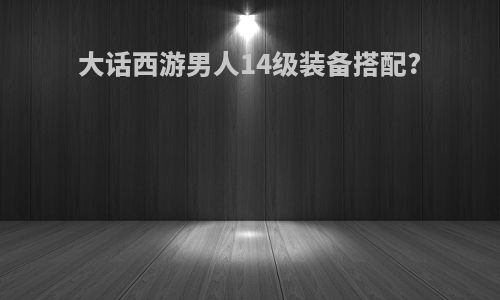 大话西游男人14级装备搭配?