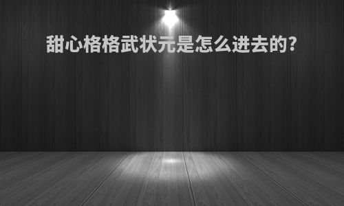 甜心格格武状元是怎么进去的?