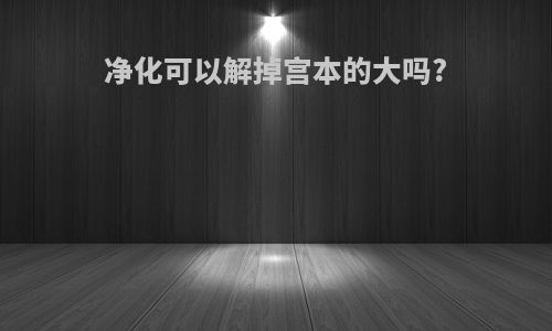 净化可以解掉宫本的大吗?