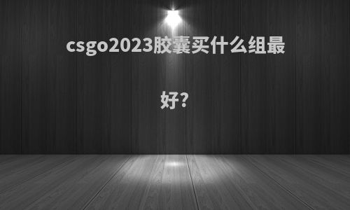 csgo2023胶囊买什么组最好?